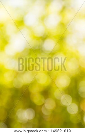 Blurred Yellow Lights Circular Bokeh Abstract For Christmas Background