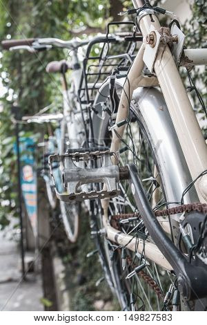 Old bicycle hanging on the wall shows a tremendously valuable.