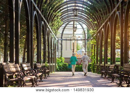 Couple walks along the alley. Senior people holding hands. Love is a priceless gift. Place where we once met.