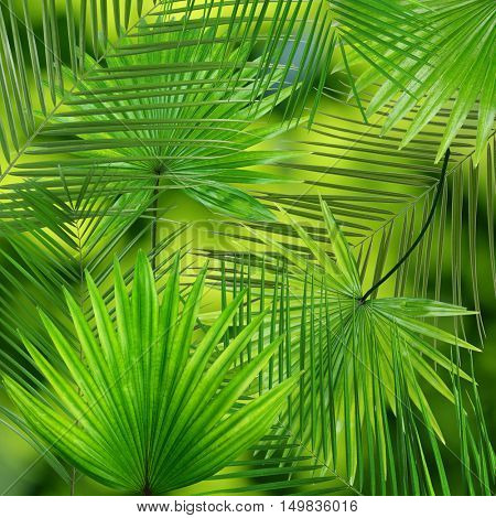 Palm leaves background