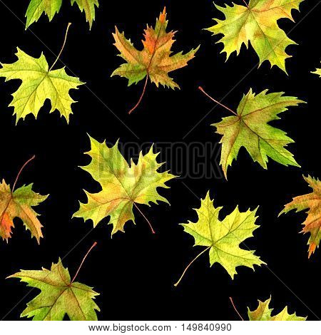 seamless patttern with realistic watercolor autumn leaves of maple tree at black backdrop, hand drawn nature background, floral ornament