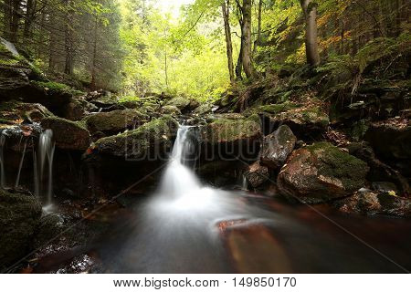 Forest stream autumn Nature background Forest stream river Nature background Forest stream brook Nature background Forest stream fall deciduous trees water Nature background foliage leaves waterfall Nature background Natural environment Nature background.