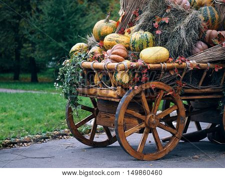 Pumpkins and sheaves of hay in a rustic cart. Concept - fall farm harvest festival