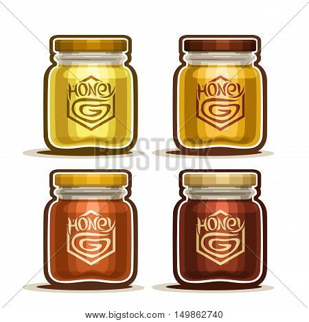 Vector Set logo wild flower chamomile yellow pure Honey in glass Jar with label, pot dark buckwheat raw honey jar with plastic cap, container liquid dessert for breakfast isolated on white background.