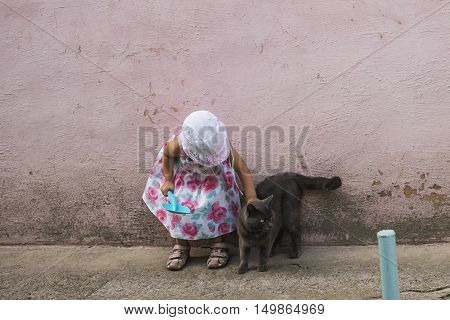 Girl and cat / Little girl is playing with a cat