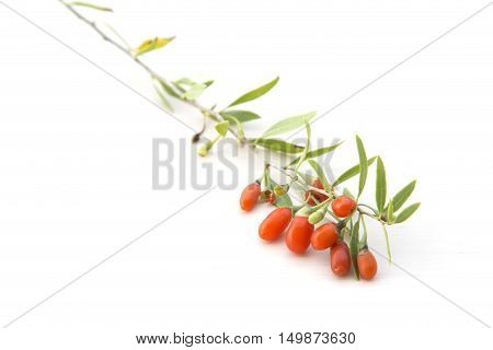 Branch with red ripe goji berries, healthy food
