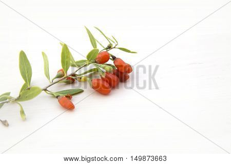Detail of branch with goji berries, detox diet