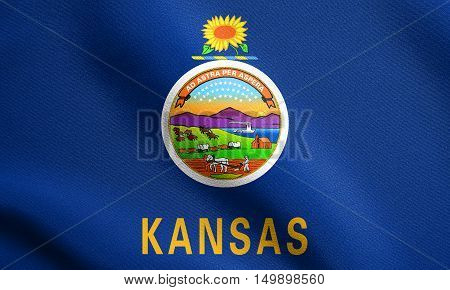 Kansan official flag symbol. American patriotic element. USA banner. United States of America background. Flag of the US state of Kansas waving in the wind with detailed fabric texture, illustration