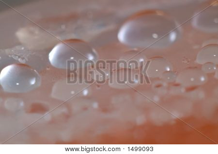 Bubbles24
