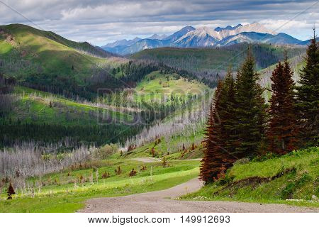 Scenic Mountain views in summer, Kananskis County Alberta Canada