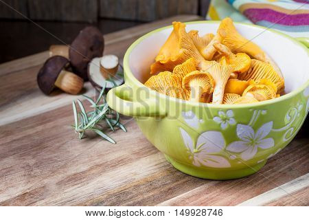 Bowl With Cantharellus. Yellow Chanterelle
