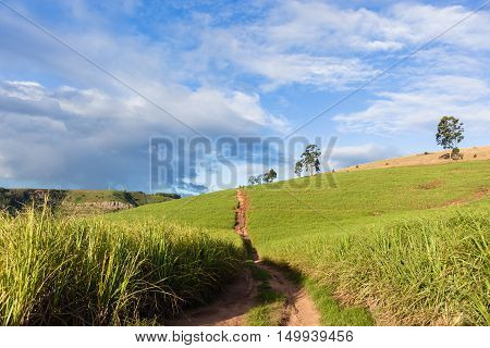 Farmlands crops dirt road over hillside landscape