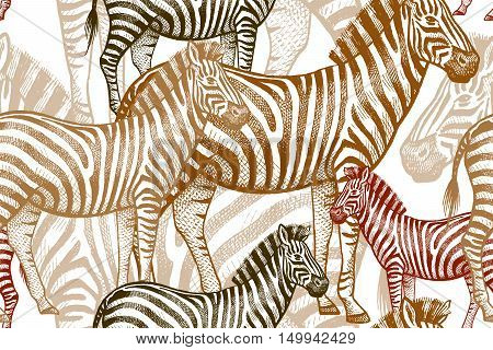 Seamless vector pattern with African animals. Colored Zebra on a white background. Template to create fabric Wallpaper paper textiles curtains design summer clothes in the style of Safari.