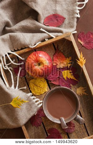 hot chocolate warming drink wool throw cozy autumn leaves