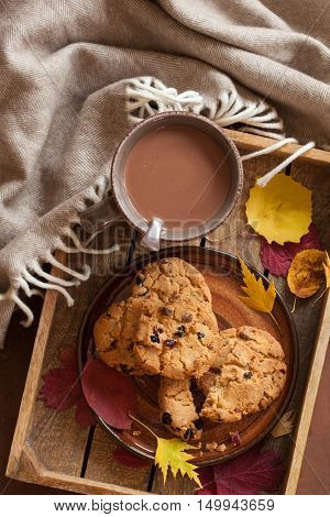 hot chocolate warming drink wool throw cozy autumn leaves cookies