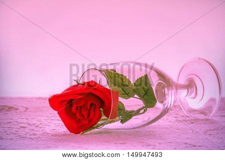 Roses are red wine glass.Concept of Love