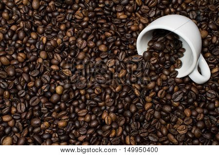 White cup on coffee beans as background
