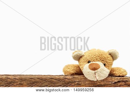 Teddy Bear was climbing the fence. on the white background