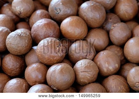 Macadamia nut background in the big  room