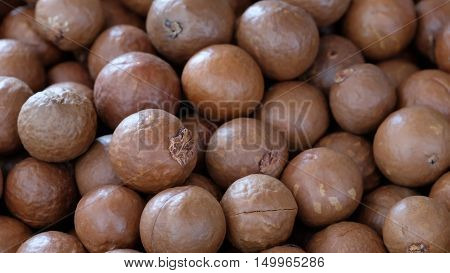 Macadamia nut background in the big  room