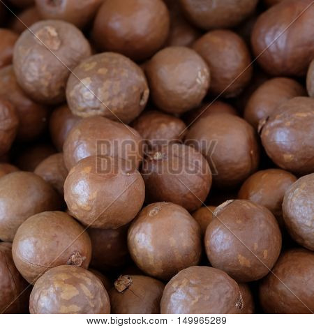 Macadamia nut background in the big  room