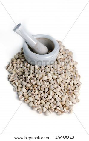 Millet Rice Bean, Millet Grains Isolated On White