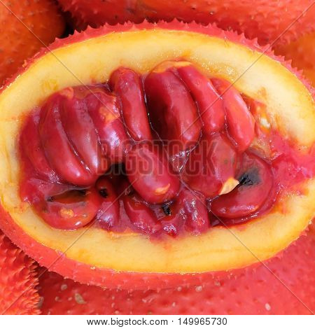 Gac fruit Baby Jackfruit Spiny Bitter Gourd Sweet Grourd or Cochinchin Gourd
