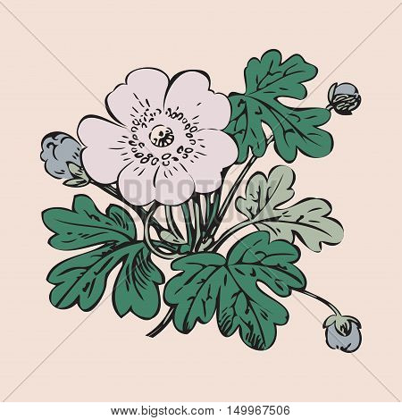 Floral bush retro on white background vector hand drawn decorative flower vintage contour closeup branch with flower and buds print design