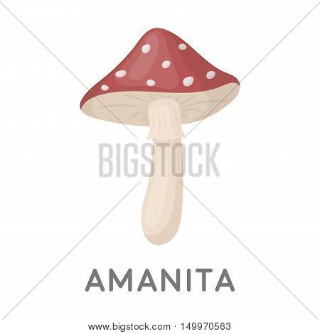 Amanita icon in cartoon style isolated on white background. Mushroom symbol vector illustration.