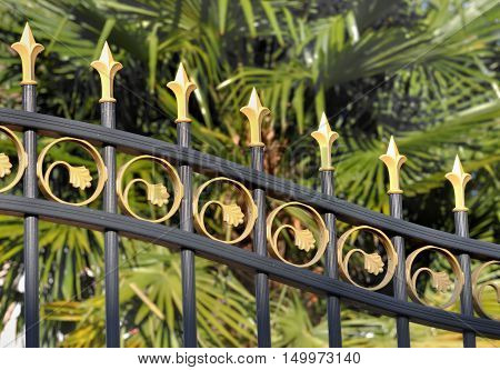 detail of a golden an black gate behind a garden
