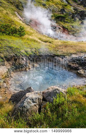 Yellowstone National Park, Wyoming, Usa