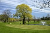 Frühling-Golf