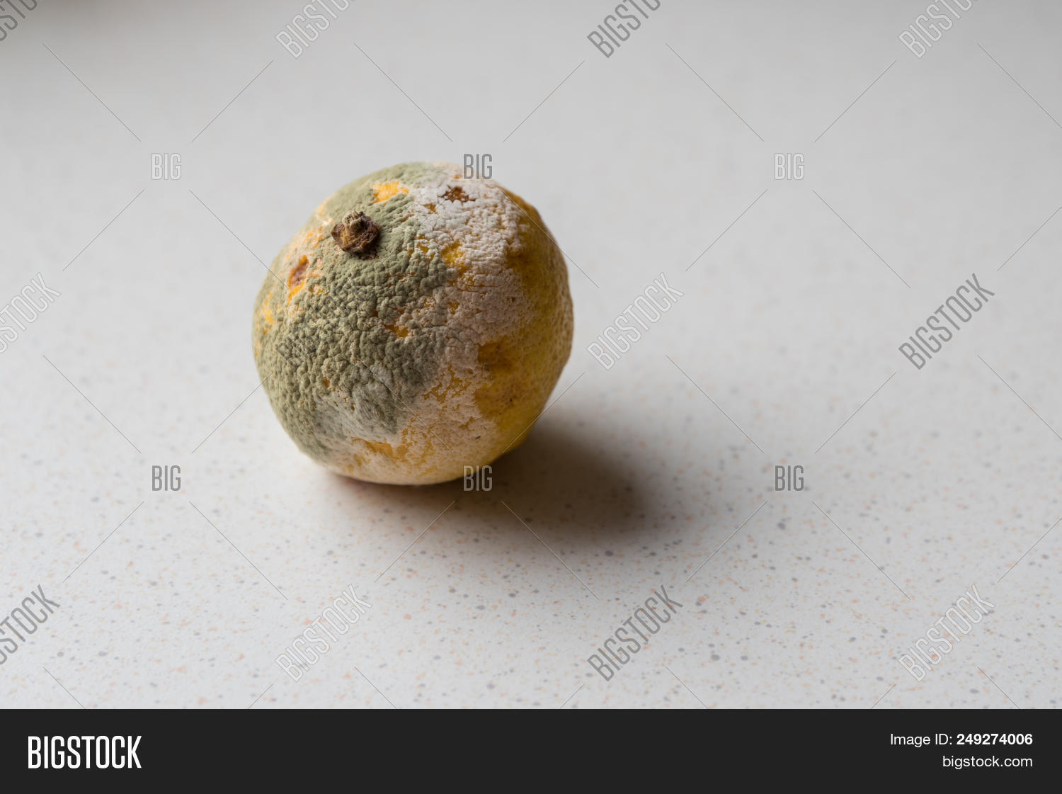 Mold On Lemon Image Photo Free Trial Bigstock