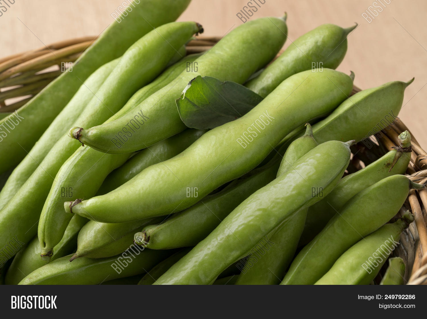 Fresh Picked Raw Broad Image & Photo (Free Trial) Bigstock