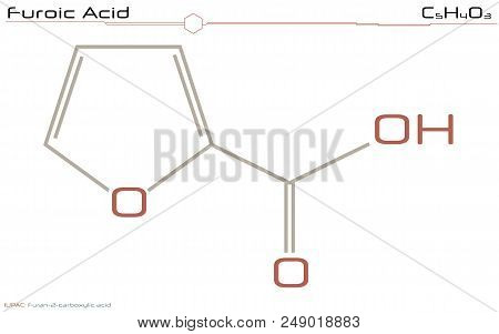 Large And Detailed Infographic Of The Molecule Of Furoic Acid.
