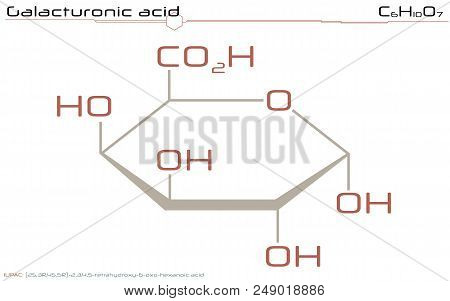 Large And Detailed Infographic Of The Molecule Of Galacturonic Acid.