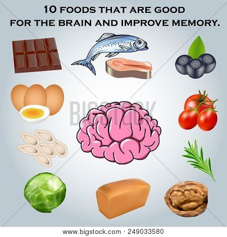 Illustration 10 Foods That Are Good For The Brain And Improve Memory.