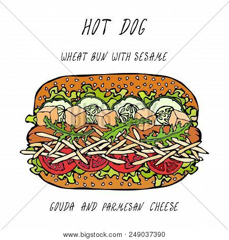 Hot Dog On A Wheat Bun With Sesame Seeds, With Gouda And Chedder Cheese, Tomato, Lettuce Salad. Fast