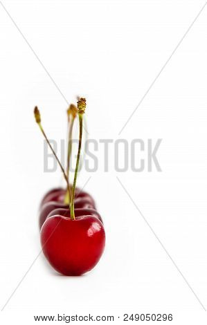 Ripe Red Cherries Are Lined Up, One After The Other. One Cherry In Focus On White Background