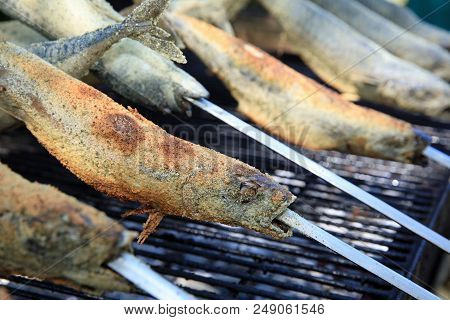 Fresh Mackerel On Stick At Barbecue Party. Germany