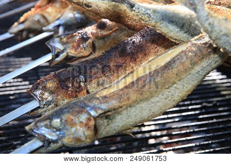 Fresh Mackerel On Stick At Barbecue Party. Germany