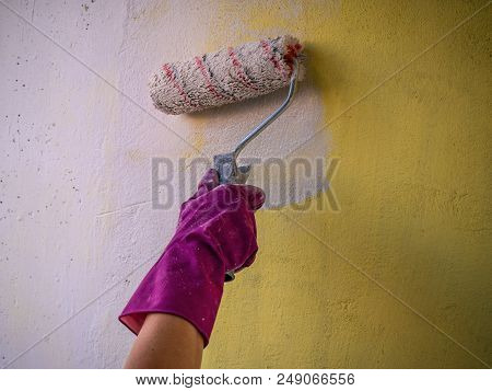 Hand In Rubber Glove Paintingthe Wall With Paint Roll Brush. House Renovation Concept