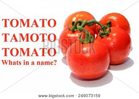Tomato. Fresh Vine Ripened Tomato's isolated on a White with Text. room for text. Fresh Beef Stake Tomato. Cherry Tomato. Farm Fresh Tomato.  Text is removable 

