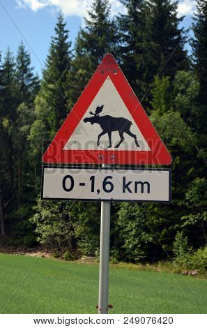 Moose warning sign. Road leading through the Scandinavian forest. Ostfold Region.Norway