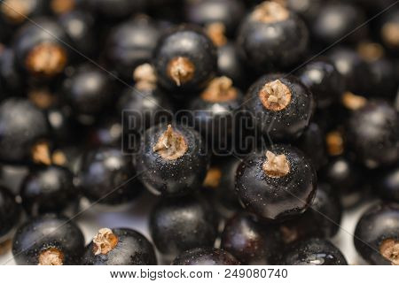 Background Texture Of Dripping Black Cuurant. Close-up Photo.