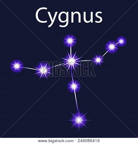 Illustration Constellation Cygnus  With Stars In The Night Sky