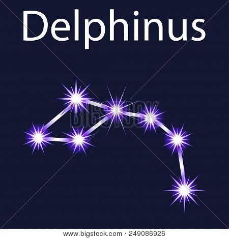 Illustration Constellation Delphinus With Stars In The Night Sky