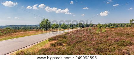 Panorama Of The Road Going Over The Holterberg Mountain In National Park Sallandse Heuvelrug Of The 