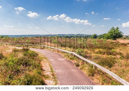 Walking Path In National Park Sallandse Heuvelrug, The Netherlands