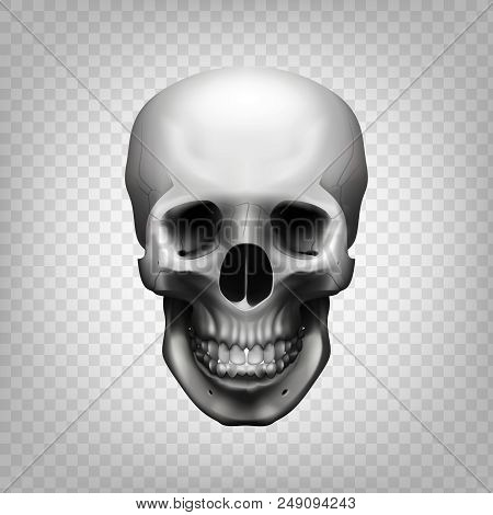 Stock Vector Illustration Human Skull On Transparent Background. Black And White. Eps 10
